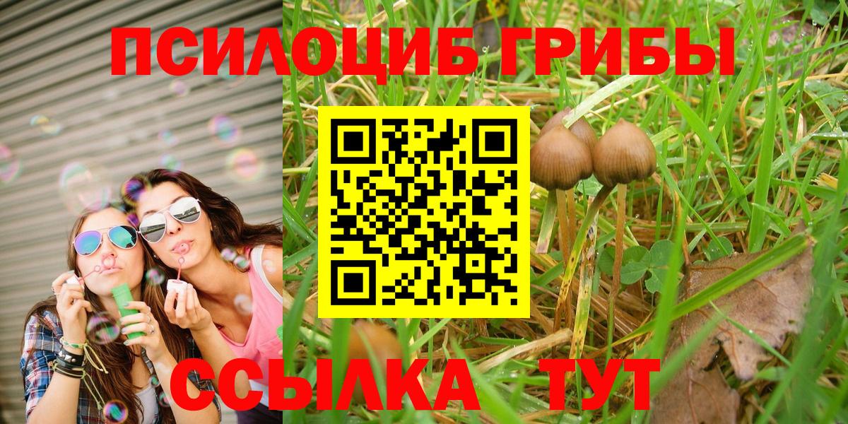 Черкесск  купить  сайты  Вход с VPN  Галлюциногенные грибы Psilocybine cubensis 