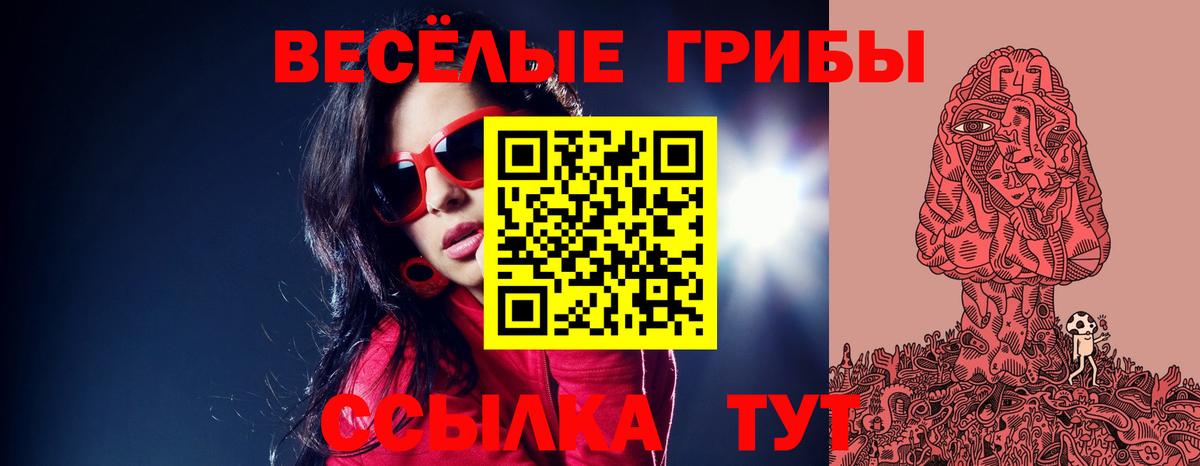 Псилоцибиновые грибы GOLDEN TEACHER Черкесск